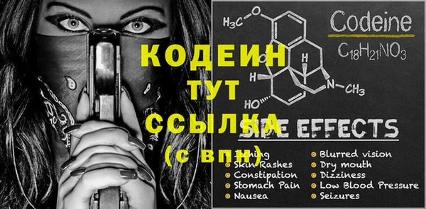 индика Абаза