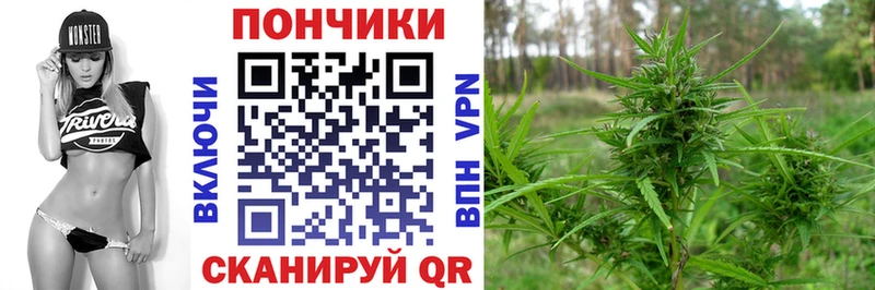 где найти наркотики Лебедянь mega как войти Бошки Шишки план